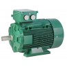 Moteur d'occasion LS80L - 0,75 kW 2810 tr/min B3